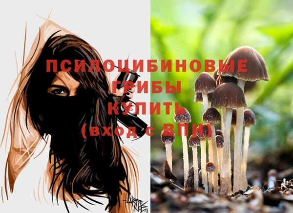 а пвп мука Володарск